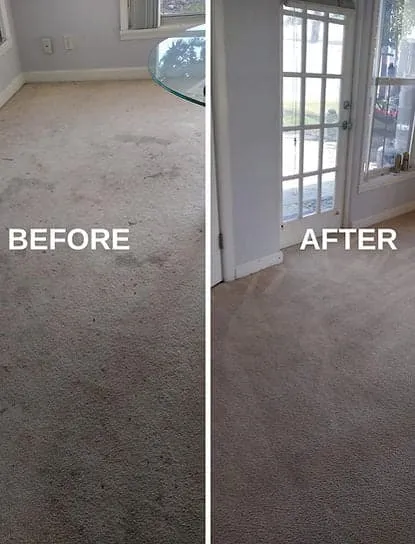 Elon Carpet Care photograph 1