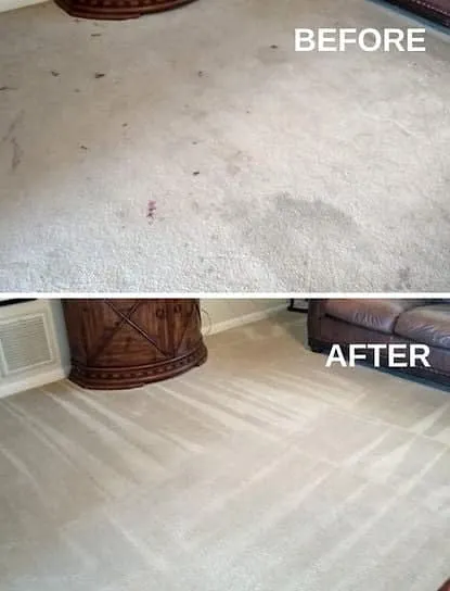 Elon Carpet Care photograph 3